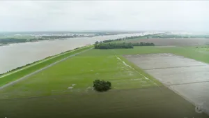 Sweeping vista of a rice field next to a river with a lone tree in the middle of it